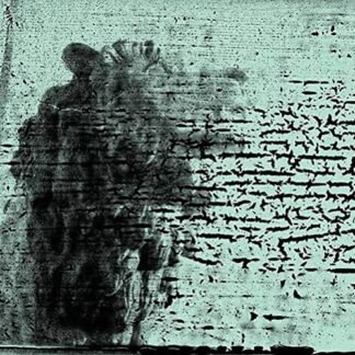 The Smashing Pumpkins - Smashing Pumpkins : Monuments to An Elegy [Disco de Vinil]