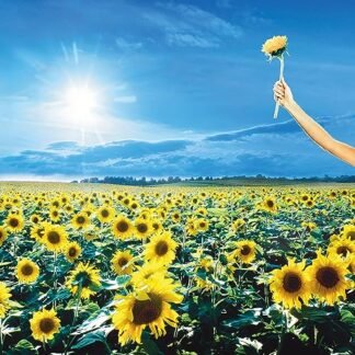 Stone Temple Pilots - Thank You (Sky Blue)