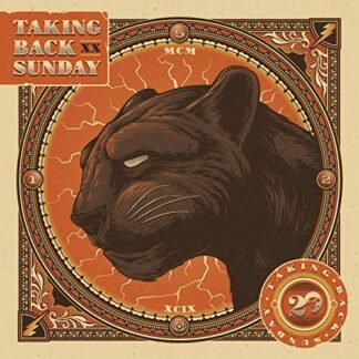 Taking Back Sunday - Twenty [Disco de Vinil]