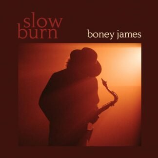 Boney James - Slow Burn[LP]