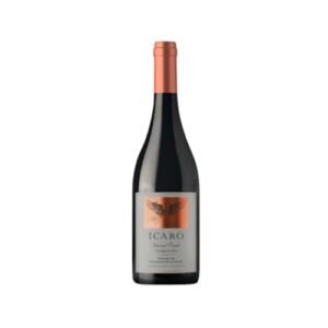 Vinho Tinto Espanhol Ícaro Tempranillo 750ml