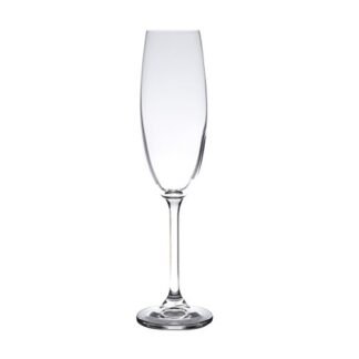 WOLFF - Conjunto 6 Taças para Champanhe De Cristal Gastro/Colibri 220ml