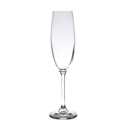 WOLFF - Conjunto 6 Taças para Champanhe De Cristal Gastro/Colibri 220ml