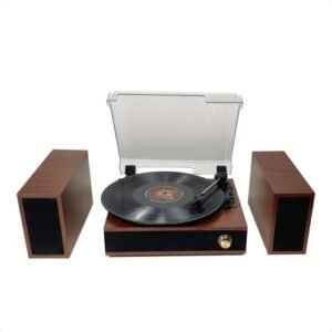Vitrola Retrô Toca Discos De Vinil Antigos Com Bluetooth 2 Caixa De Som Externo Aparelho de Som Bivolt