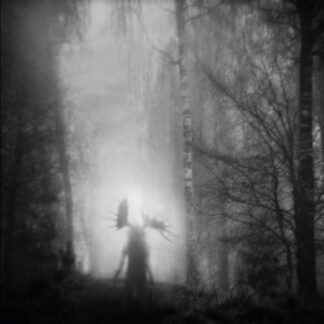 From the Infinite Light - Iterum Nata (CDs)