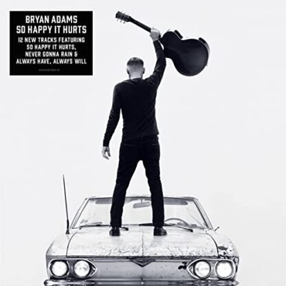 Bryan Adams - So Happy Its Hurts