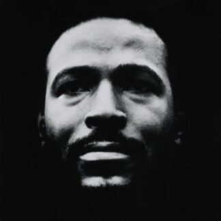 Vulnerable [Audio CD] Gaye, Marvin