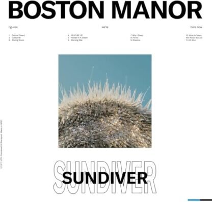 Sundiver