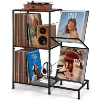 HYCFYJR Suporte para toca-discos com armazenamento de discos de vinil, suporte para toca-discos com prateleira de exibição de vinil de 2 camadas e moldura de metal, porta-discos para sala de estar, (Equipamentos)