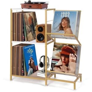 HYCFYJR Suporte para toca-discos com armazenamento de discos de vinil, suporte para toca-discos com prateleira de vinil de 2 camadas e moldura de metal, suporte de vinil para sala de estar, dourado e (Equipamentos)