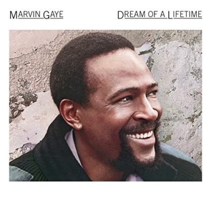 Dream Of A Lifetime - Marvin Gaye (CDs)