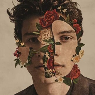 Shawn Mendes: The Album [CD] - Shawn Mendes (CDs)
