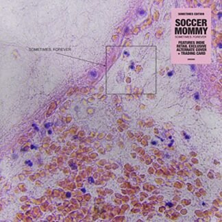 Soccer Mommy Sometimes Forever Indie CD