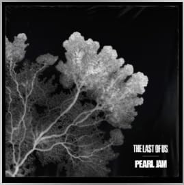 The Last Of Us - Pearl Jam (Discos de Vinil)
