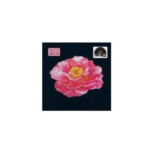 Post Malone Tribute To Nirvana - Post Malone (Discos de Vinil)