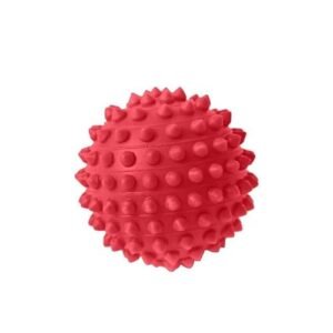 MY PET BRASIL - Brinquedo Para Cachorro, Bola Cravinho, Brinquedo Mordedor, Bolinha Para Cães,1 Unidade, Cores sortidas (Brinquedos)