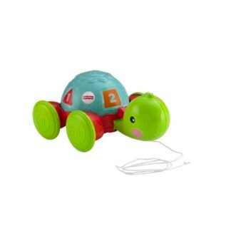 Fisher-Price Brinquedo para Bebês Empurra Tartatuga para crianças a partir de 1 ano (Brinquedos)