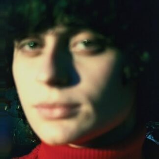 Little Electric Chicken Heart - Ana Frango Eletrico (Discos de Vinil)