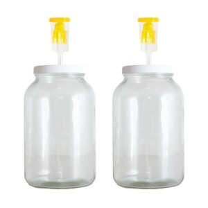 Craft A Brew - Para cervejas domésticas, vinho, sidra e mais - Inclui dois potes de fermentador de vidro de 1 galão, tampas e airlocks - Pote de fermentação com 2 pacotes (Cervejas)