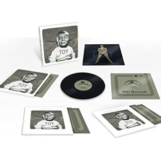 David Bowie - Toy - David Bowie (Discos de Vinil)