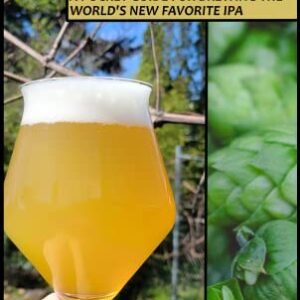 The Hazy Handbook: A Pocket Guide for Brewing the World's New Favorite IPA (Brewer's Toolkit) (English Edition) - Clark, Stacy (Cervejas)