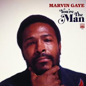 You're The Man - Marvin Gaye (Discos de Vinil)