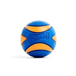 Chuckit! Chuckit Bola Para Cães Ultra Squeaker Pequena (5 Polegadas) 1 Pacote (Brinquedos)