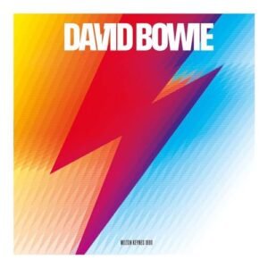 MILTON KEYNES 1990 - David Bowie (Discos de Vinil)