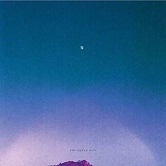 Invisible Boy [Disco de Vinil] (Discos de Vinil)