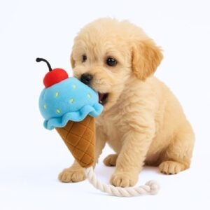 Brinquedo Interativo para Cachorro Pelúcia Sorvete com Corda e Apito Mordedor para Filhotes e Adultos (Azul) (Brinquedos)