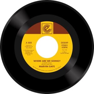 Where Are W Going? / Woman Of The World [7" VINYL] - Marvin Gaye (Discos de Vinil)