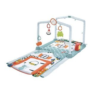 Fisher-Price Brinquedo Ginásio para Bebês Cabana 3 em 1 (Brinquedos)