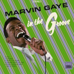 In The Groove[LP] - Marvin Gaye (Discos de Vinil)