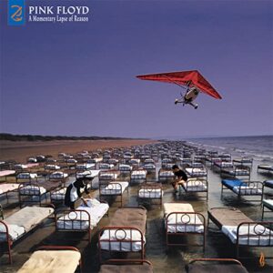 A Momentary Lapse Of Reason (Remixed & Updated) - Pink Floyd (CDs)