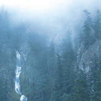 Diadem Of 12 Stars [Disco de Vinil] - Wolves in the Throne Room (Discos de Vinil)