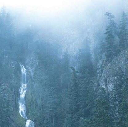Diadem Of 12 Stars [Disco de Vinil] - Wolves in the Throne Room (Discos de Vinil)