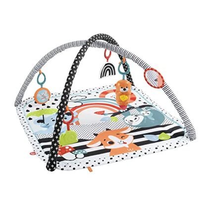 Fisher-Price Baby Ginásio para Bebês De Atividades Musical 3 Em 1 para crianças a partir de Recém nascidos (Brinquedos)