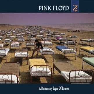 A Momentary Lapse of Reason CD - Pink Floyd (CDs)