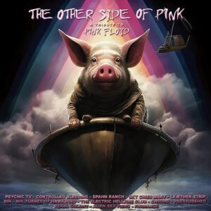 The Other Side of Pink: A Tribute to Pink Floyd - Various Artists (Discos de Vinil)