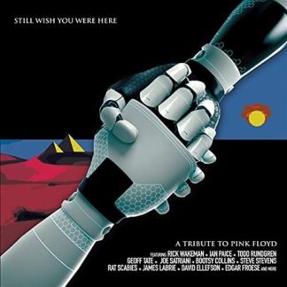 Pink Floyd Tribute: Still Wish You Were Here / Various [Disco de Vinil] - Various Artists (Discos de Vinil)