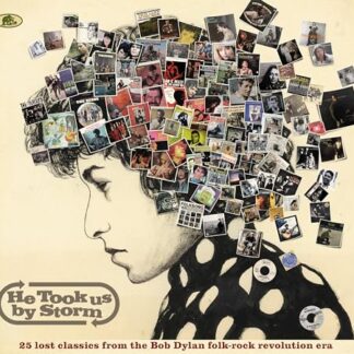 He Took Us By Storm - 25 Lost Classics from the Bob Dylan Folk-Rock Revolution Era - Various, Artists (CDs)