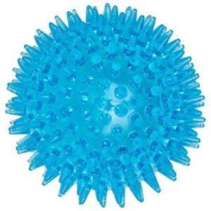 JAMBO PET Bolinha Para Cachorro Com Espinhos Macios Grande Com Som Ideal Para Atividade Física, Facilita A Limpeza Dental E Fortalecimento Da Gengiva, Diversas Cores (Azul) (Brinquedos)