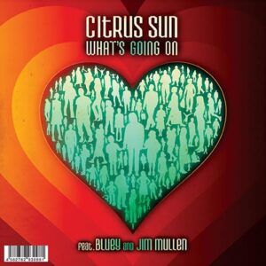 WHAT'S GOING ON / WHAT colour IS LOVE (COVERS OF MARVIN GAYE & TERRY CALLIER) - Citrus Sun (Discos de Vinil)