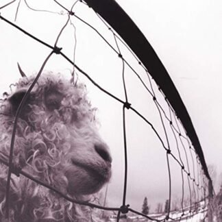 Pearl jam - PEARL JAM (CDs)