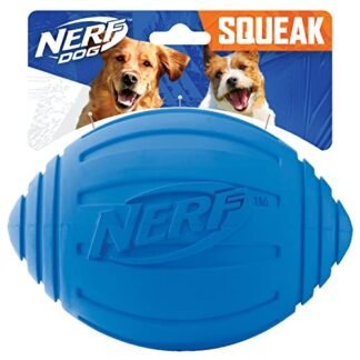 Nerf Dog Brinquedo Para Cães Leve Durável E Resistente À Água 18 Cm De Diâmetro Para Raças Médias/Grandes Azul 1 Unidade (Brinquedos)