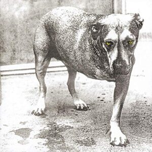 Alice in Chains (CDs)