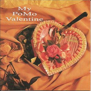 HITS Post Modern Syndrome - My PoMo Valentine - Soundgarden (CDs)