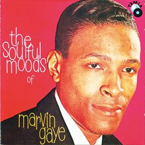 The Soulful Moods Of Marvin Gaye - Gaye, Marvin (CDs)