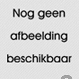 No Sleep Till Babylon [Audio CD] - Shinyville (CDs)