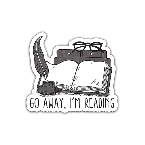 STICKYAME (3 peças) Adesivo Go Away I'm Reading, adesivo de vinil cortado para laptop, telefone, garrafas de água, skate, adesivos de livros para Kindle, presentes de livros, adesivos engraçados (Discos de Vinil)